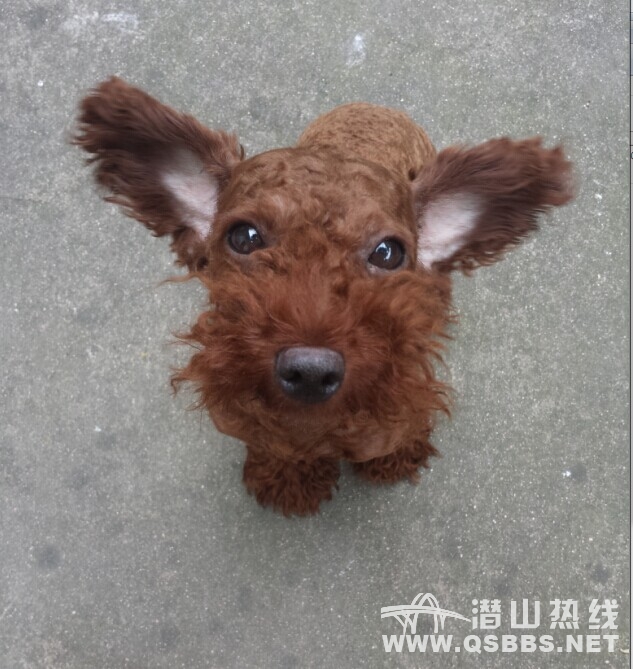 QQͼƬ20140903085415.jpg