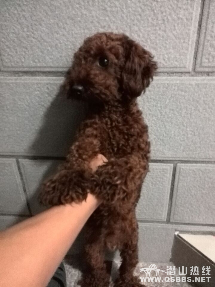 QQͼƬ20140903090108.jpg